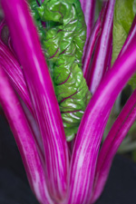 kale